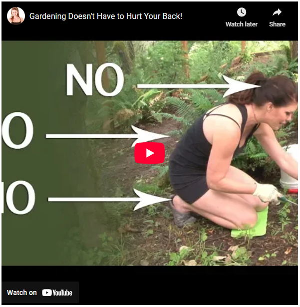 Tips for Incorporating Chiropractic Care into Your Gardening Routine