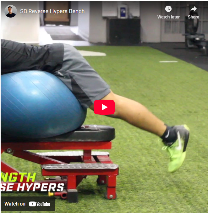 Reverse Hyperextensions for Stronger Glutes and Lower Back