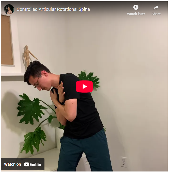 Controlled Articular Rotations Spine