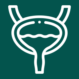 Bladder or bowel
