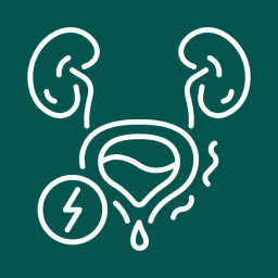 Urinary Incontinence